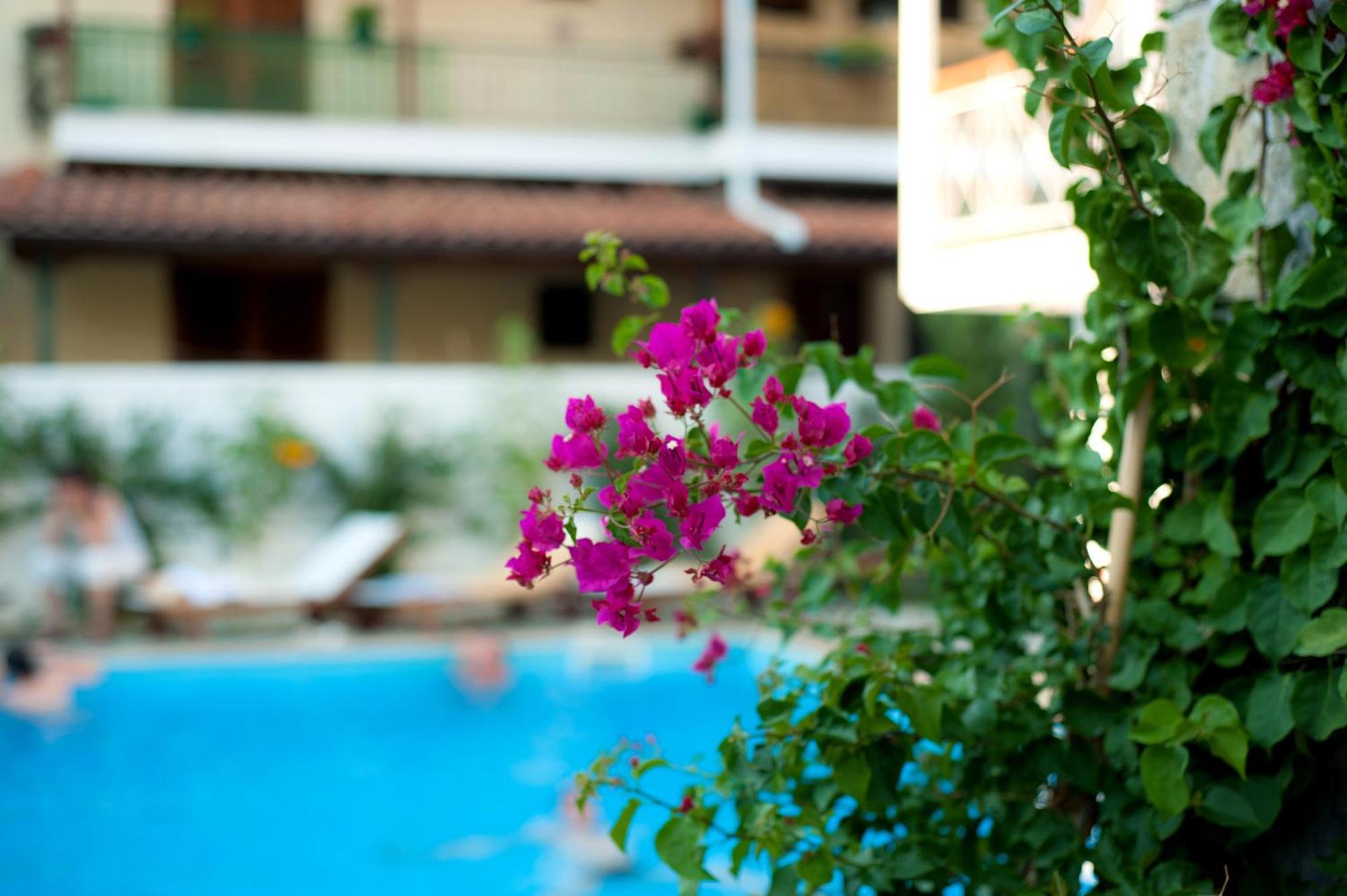 Neda Hotel Ancient Olympia Екстериор снимка